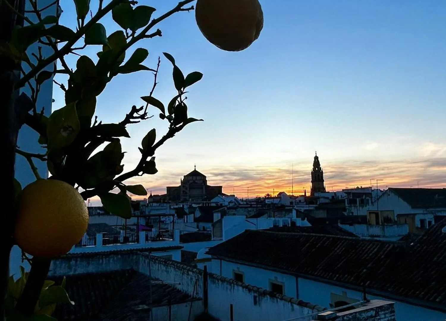 Hotel Madinat Córdoba